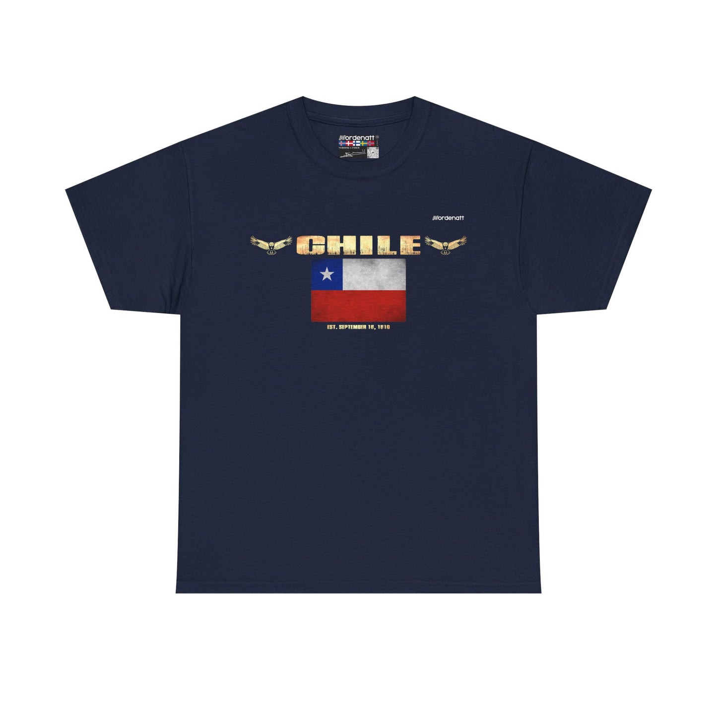 Chile Patagonia Andes Tee