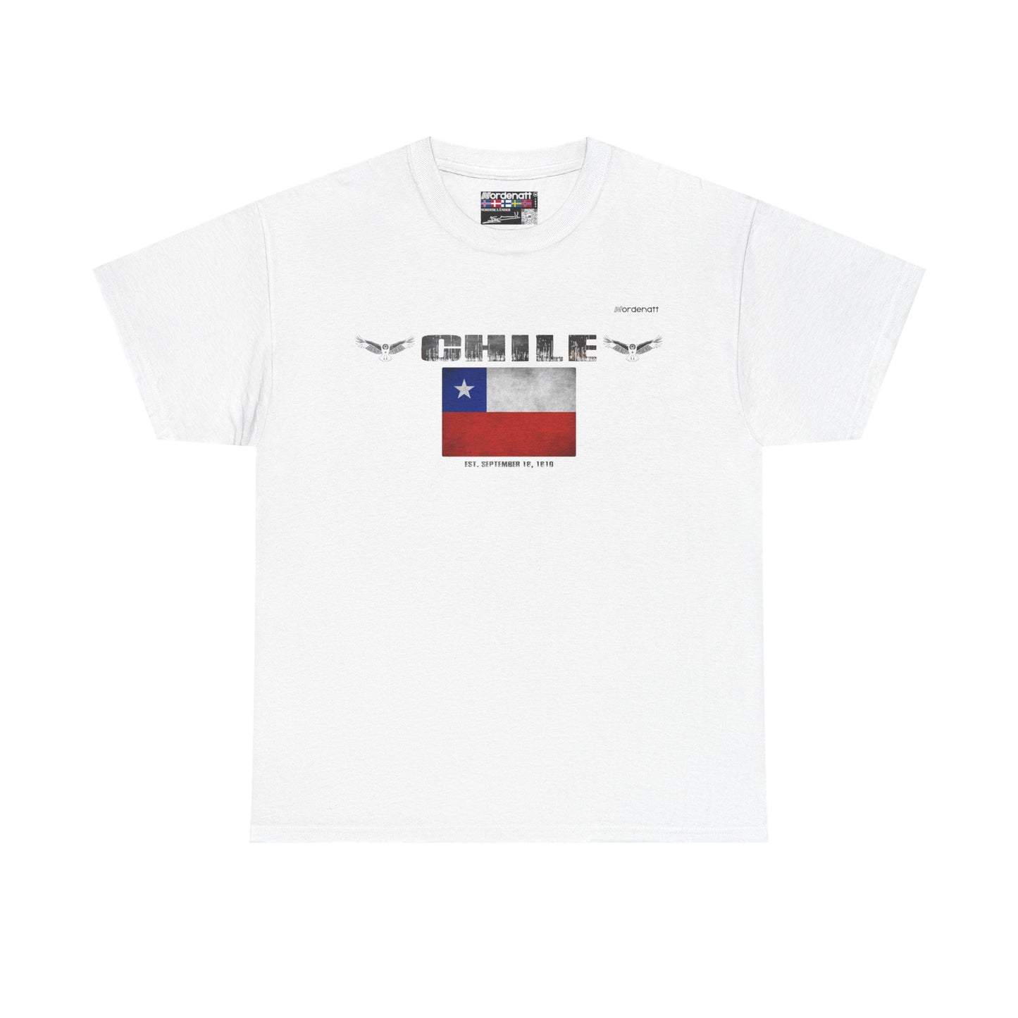 Chile Patagonia Andes Tee