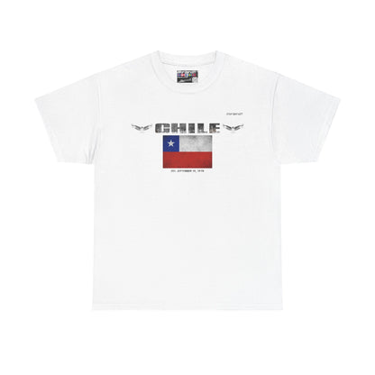 Chile Patagonia Andes Tee