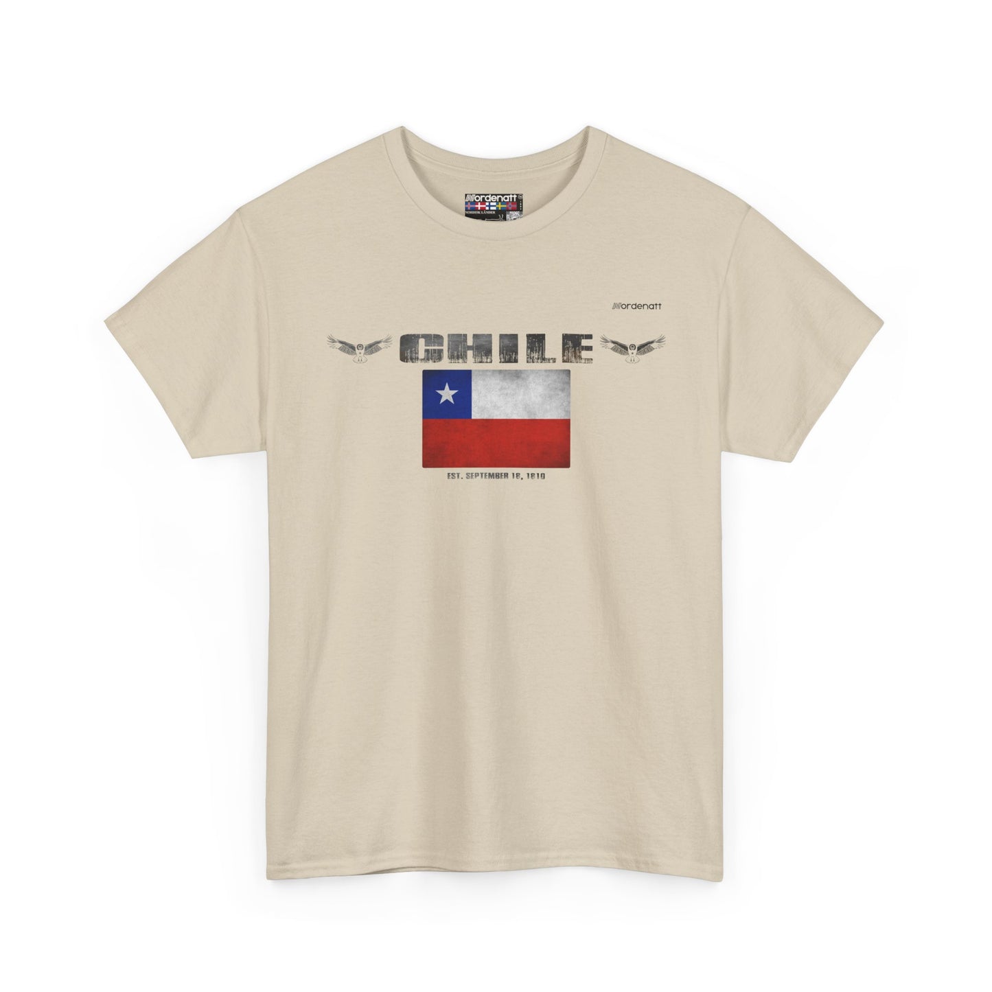 Chile Patagonia Andes Tee
