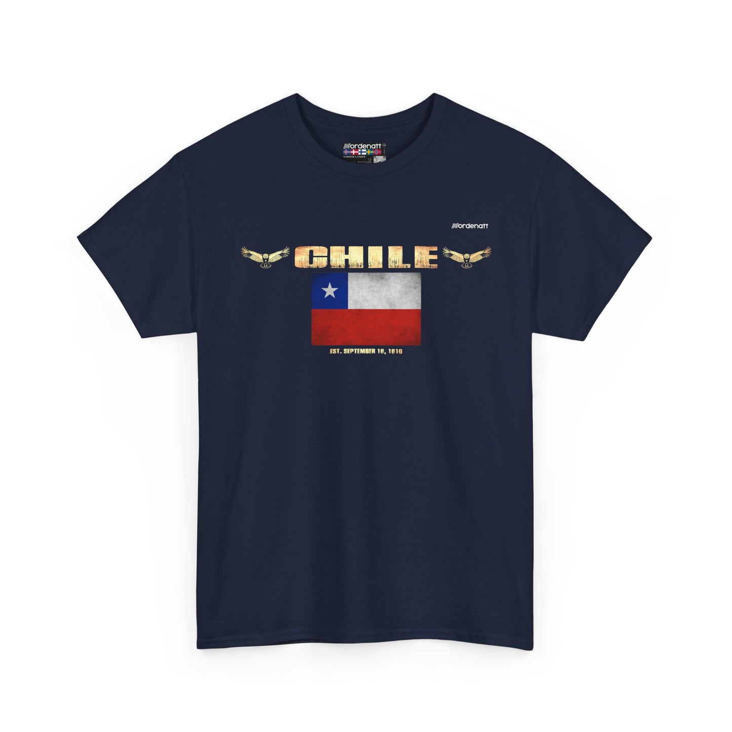 Chile Patagonia Andes Tee