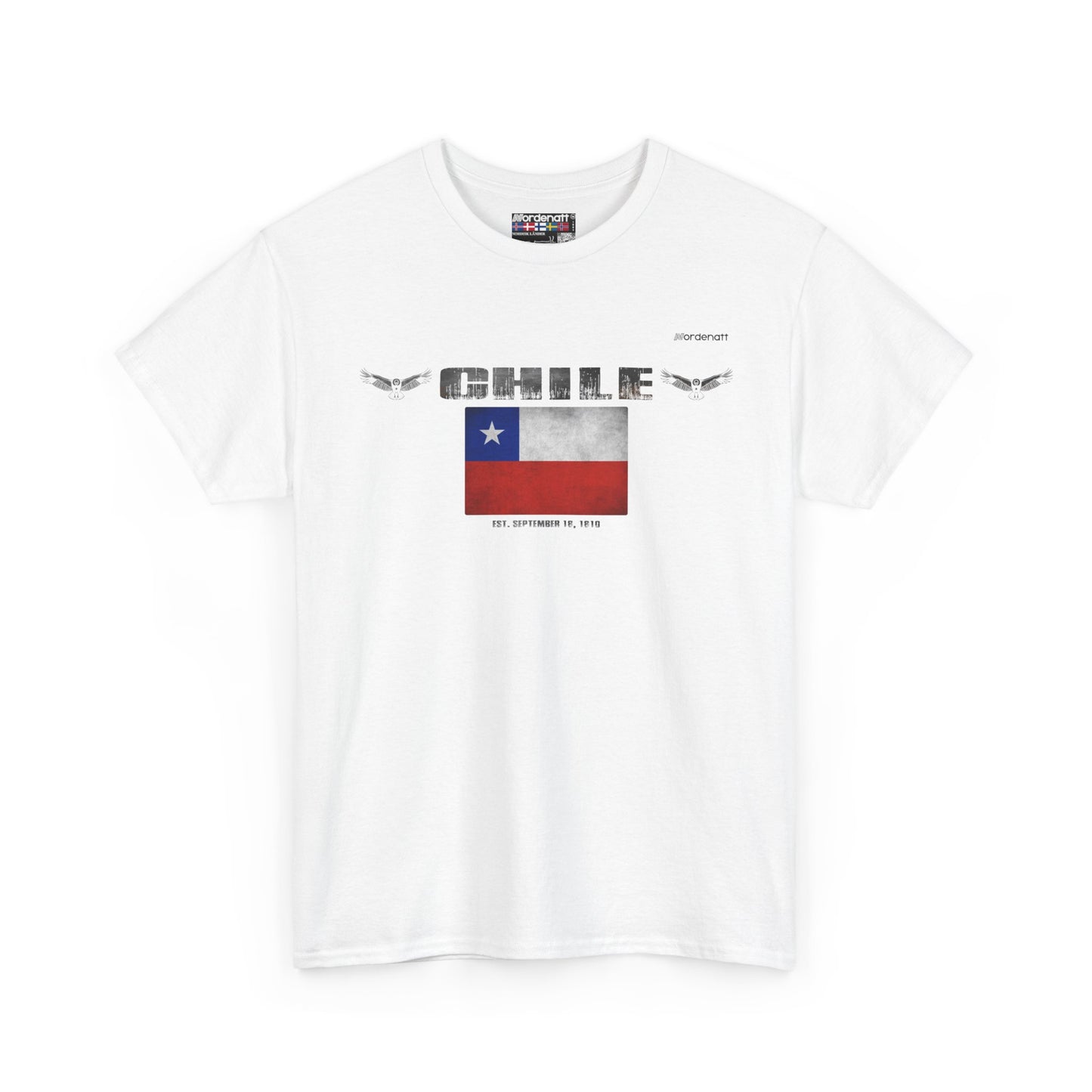 Chile Patagonia Andes Tee