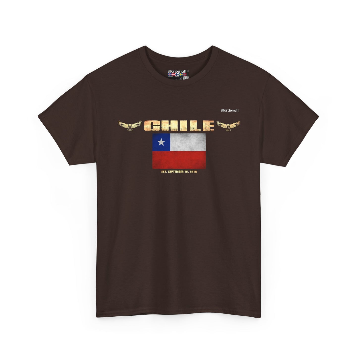 Chile Patagonia Andes Tee