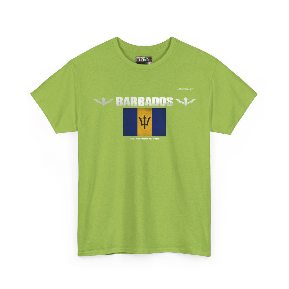 Barbados flag t-shirt in Kiwi — premium cotton, Nordenatt