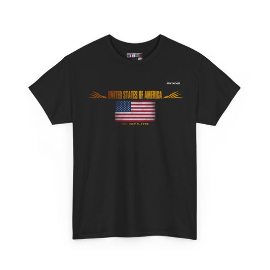United States Of America flag t-shirt in Black — premium cotton, Nordenatt