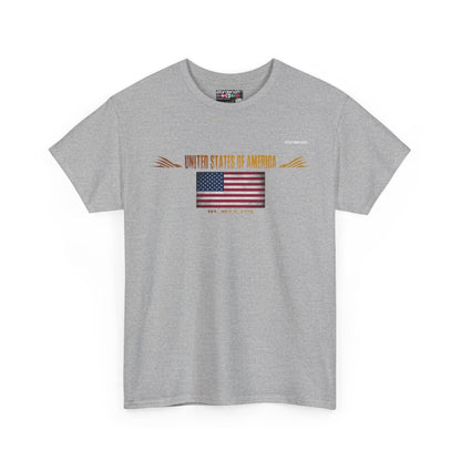 United States Of America flag t-shirt in Sport Grey — premium cotton, Nordenatt