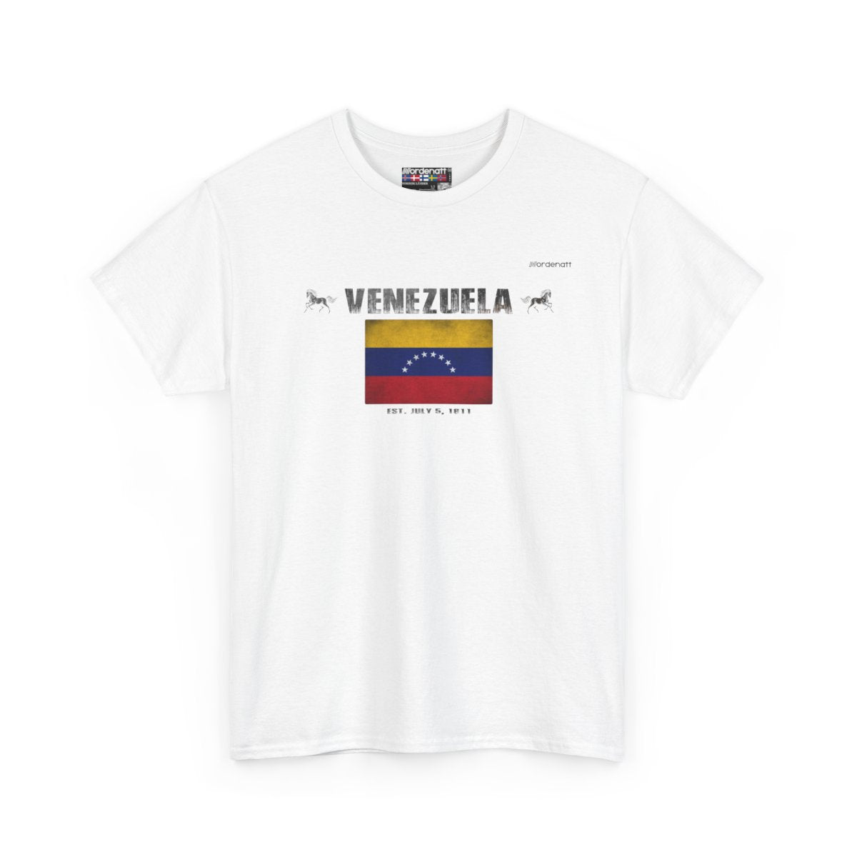 Venezuela Angel Falls Tee