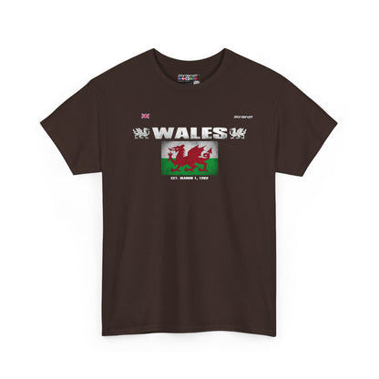 Wales flag t-shirt in Dark Chocolate — premium cotton, Nordenatt